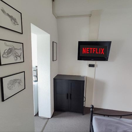 Kleines Aber Feines Apartment 盖尔森基兴 外观 照片
