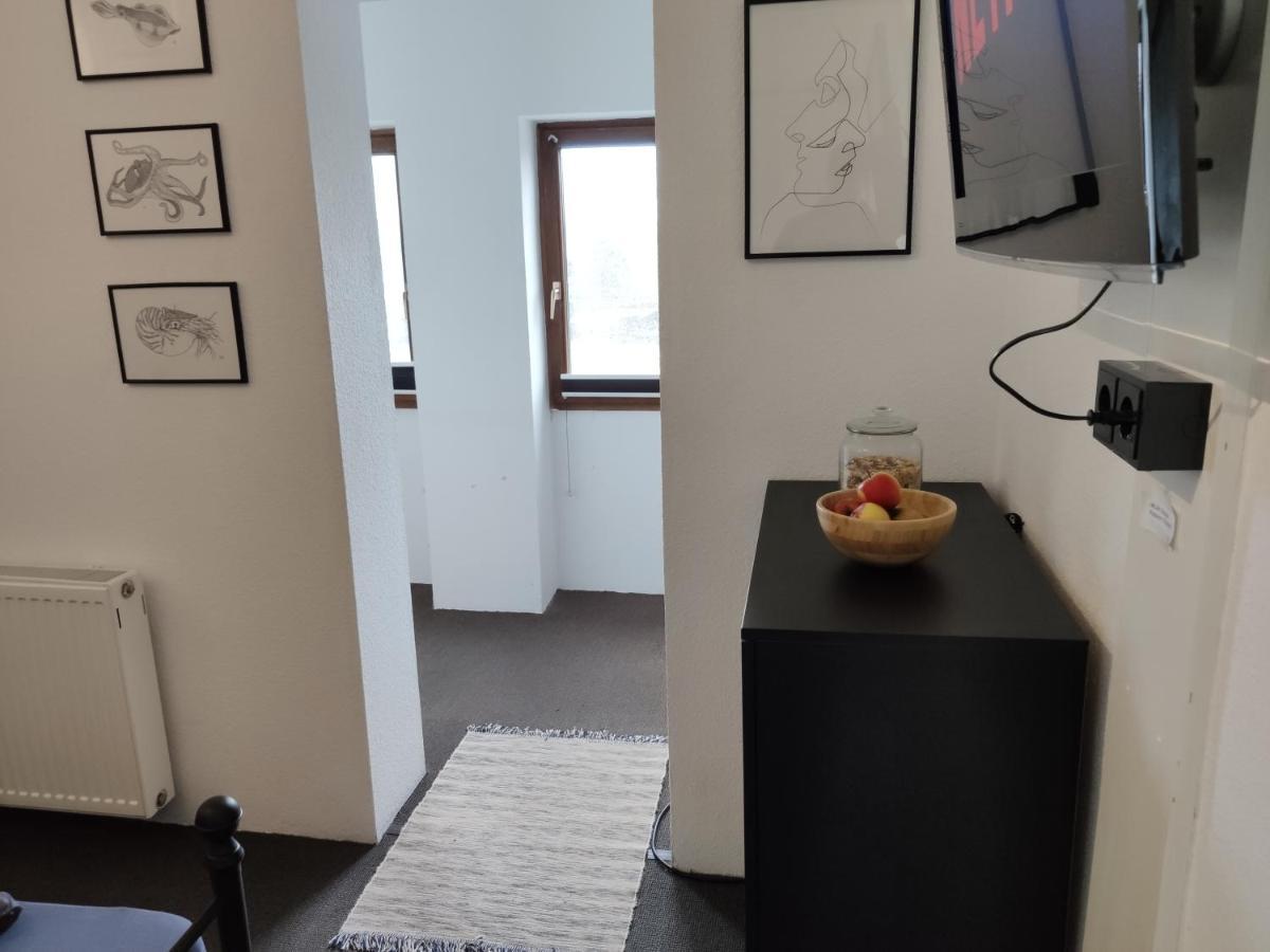 Kleines Aber Feines Apartment 盖尔森基兴 外观 照片